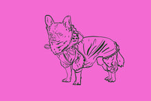 Load image into Gallery viewer, STAY COOL Postcard Series